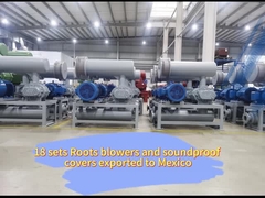 DN200 Roots Type Vacuum Pump ความดันการดูด 40KPA สําหรับเครื่องเป่าอุตสาหกรรมเคมี
