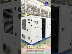 BLG เครื่องเป่ารากสกรู